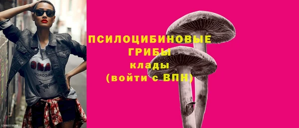 крисы Алексеевка