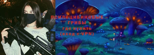 сатива Алексин
